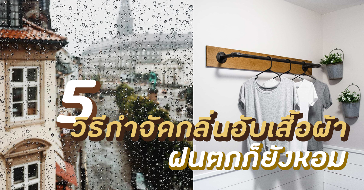ฝนตกทุกวันจนเสื้อผ้ามีกลิ่นตุๆ ต้องเจอ 5 วิธีกําจัดกลิ่นอับเสื้อผ้า ต้องทำยังไงนะ!
