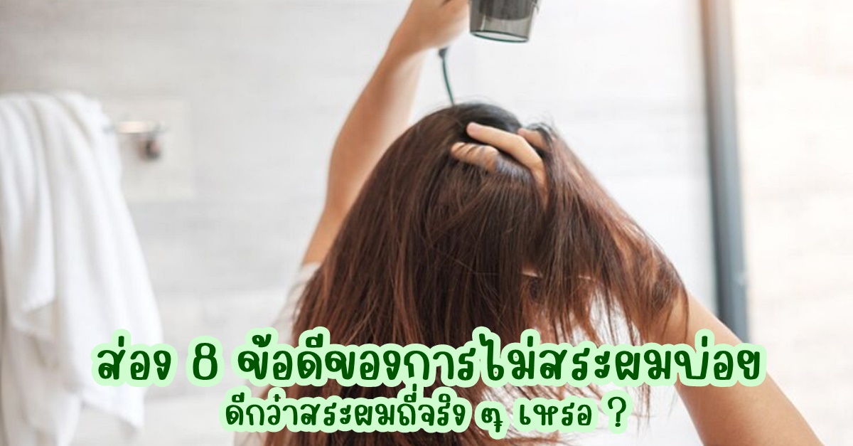 ถูกใจสายดอง ! ส่อง 8 ข้อดีของการไม่สระผมบ่อย ดีกว่าสระผมถี่จริง ๆ เหรอ ?